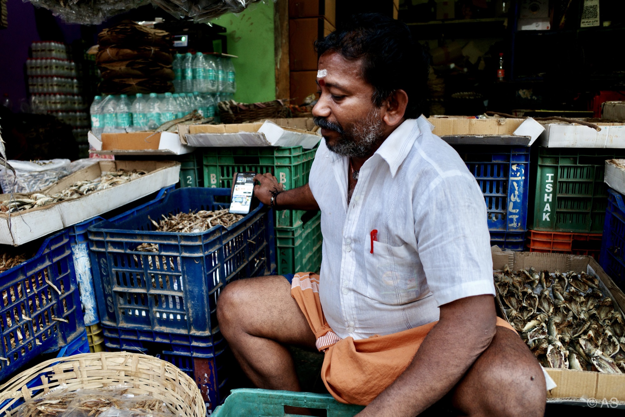 Fish vendor checking his phone at a market stall